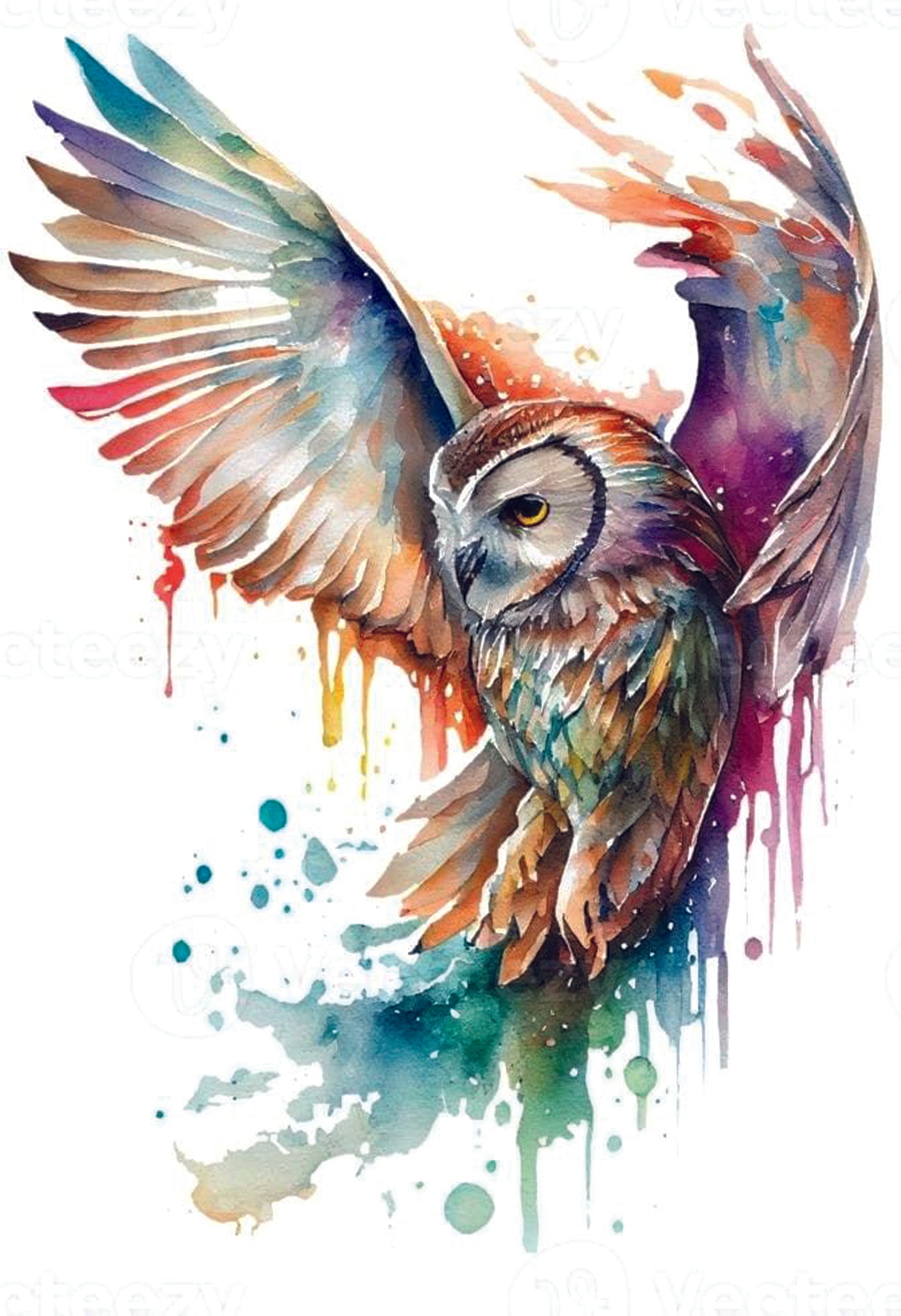 Poster Gufo Colorato – Arte Acquerello Moderna